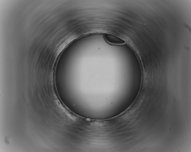 X0000103400898200809191518