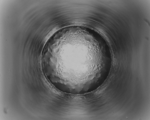 X0000103400899200809191518