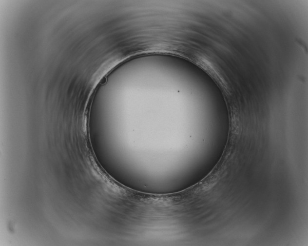 X0000103400900200809191518