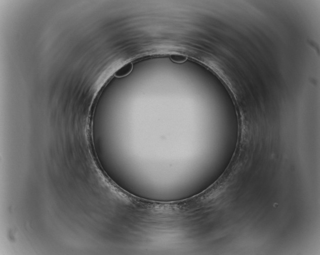 X0000103400901200809191518