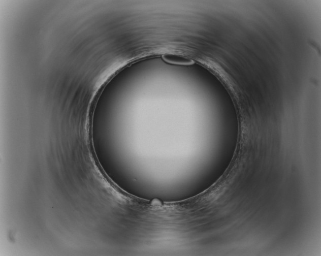 X0000103400902200809191518