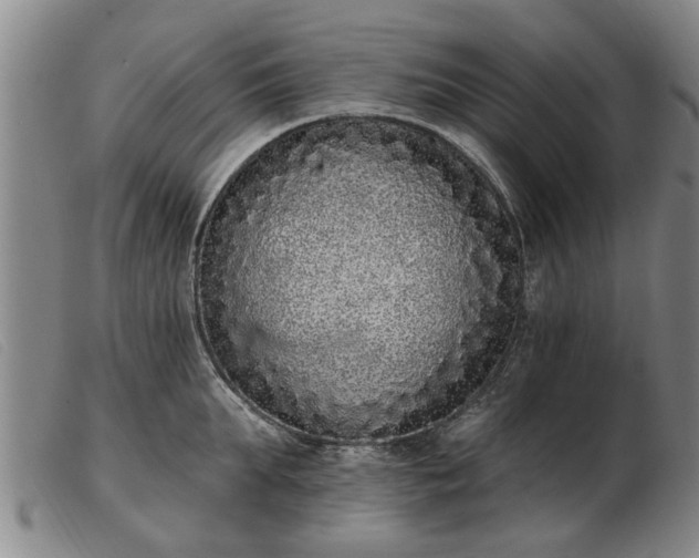 X0000103400903200809191518