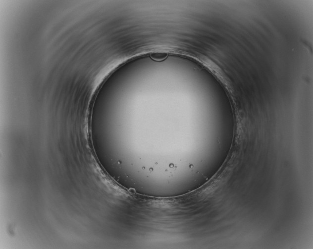 X0000103400904200809191518