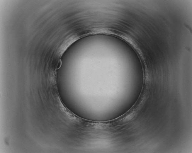 X0000103400905200809191518