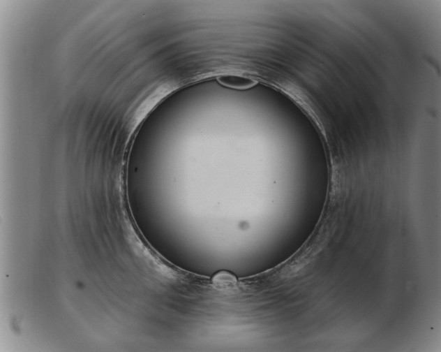 X0000103400906200809191518