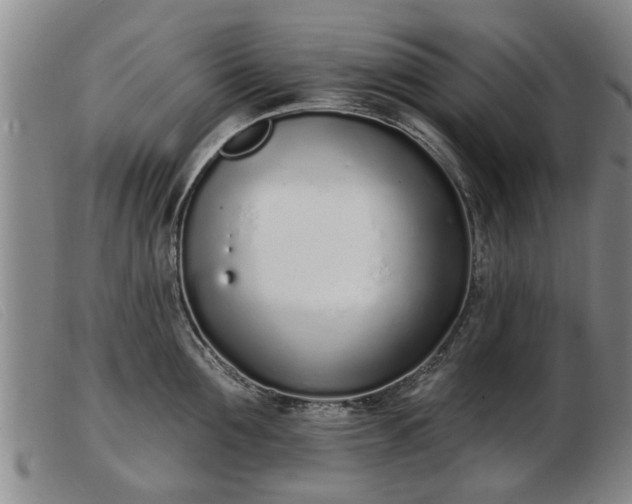 X0000103400907200809191518