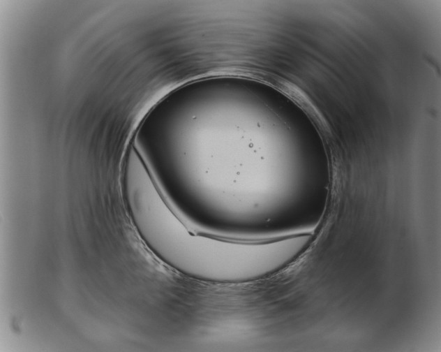 X0000103400908200809191518