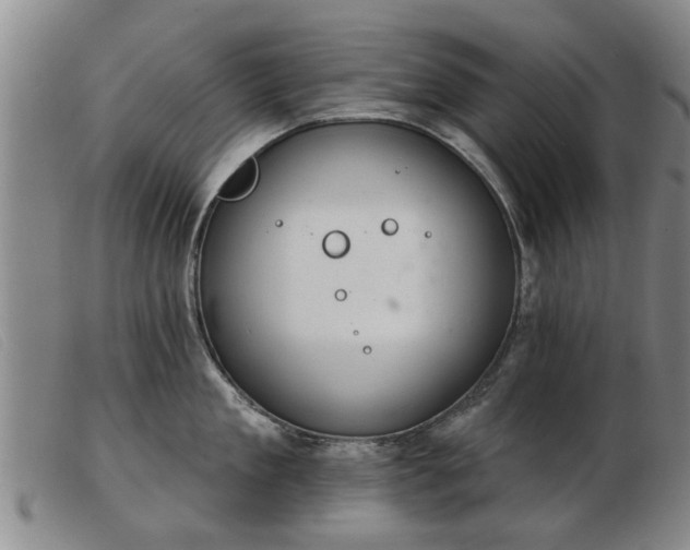 X0000103400909200809191518