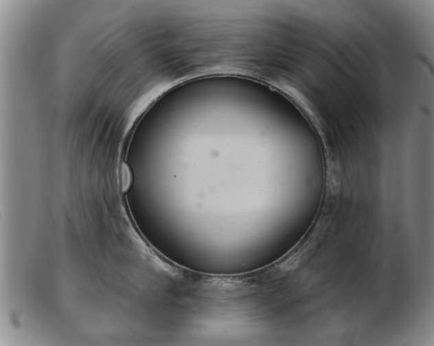 X0000103400910200809191518