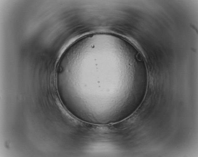 X0000103400911200809191518