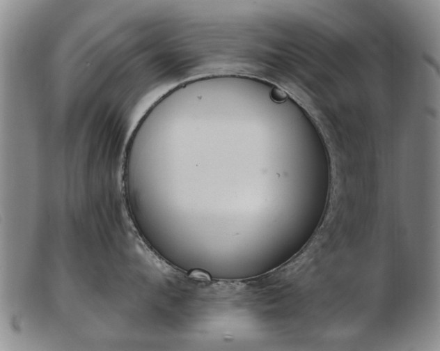 X0000103400912200809191518