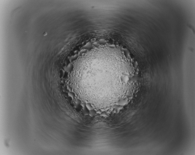 X0000103400913200809191517