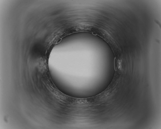 X0000103400915200809191517