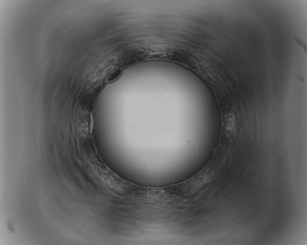 X0000103400916200809191517