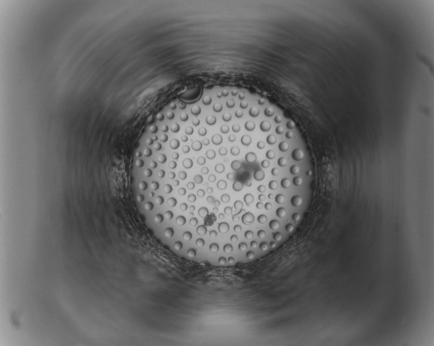 X0000103400918200809191517