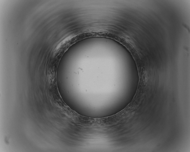 X0000103400920200809191517