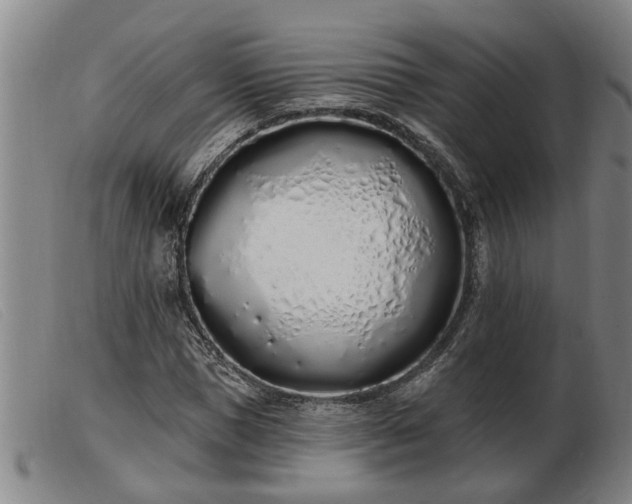 X0000103400921200809191518