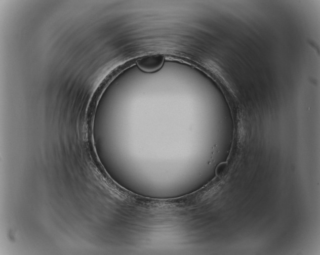 X0000103400924200809191518