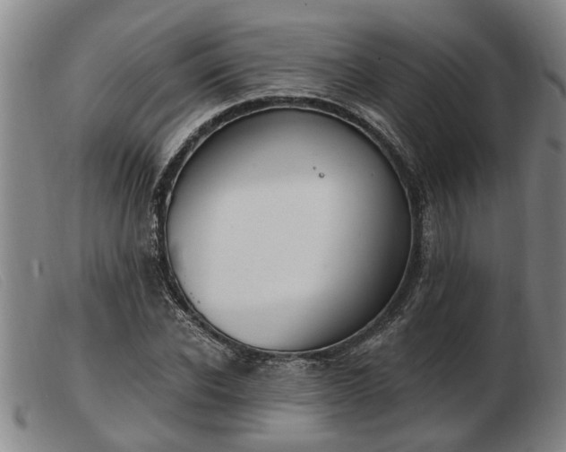 X0000103400926200809191518