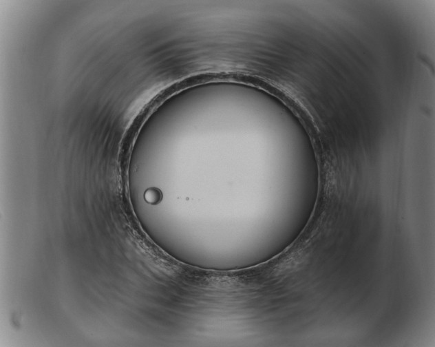 X0000103400927200809191518