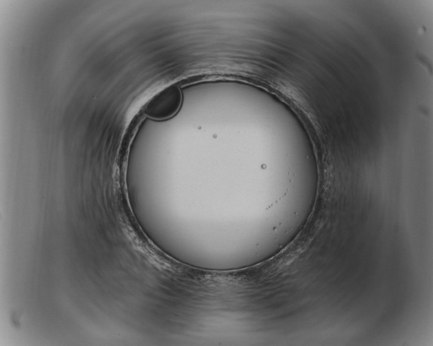 X0000103400928200809191518