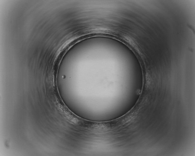 X0000103400931200809191518