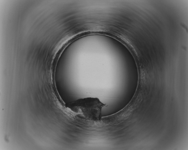 X0000103400935200809191518