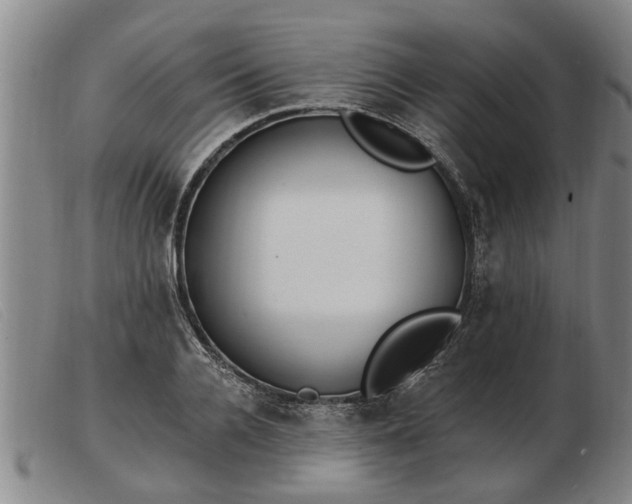 X0000103400936200809191518