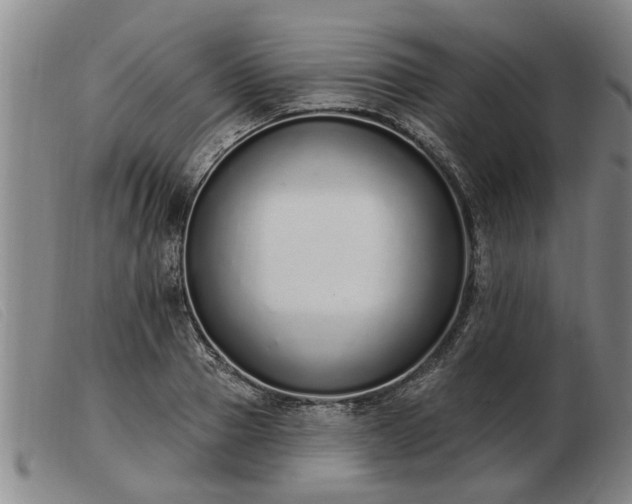 X0000103400937200809191518