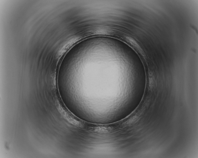 X0000103400938200809191518