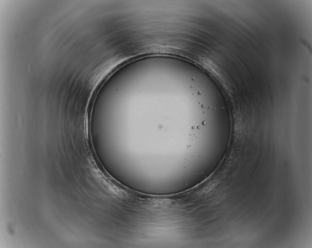 X0000103400940200809191518