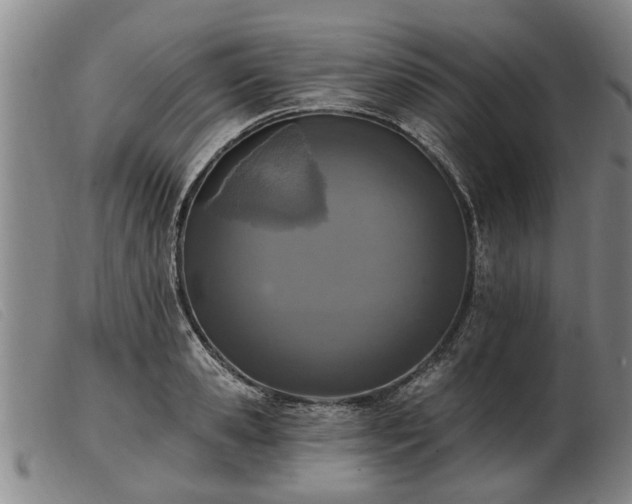 X0000103400941200809191518