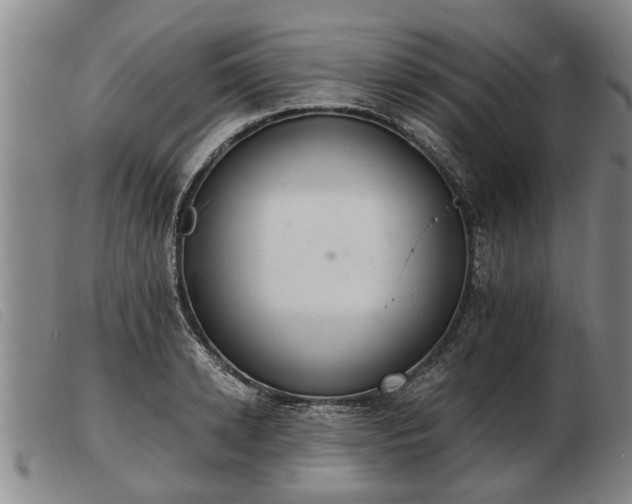 X0000103400942200809191518