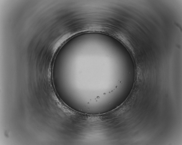 X0000103400944200809191518