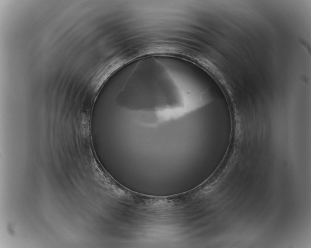 X0000103400945200809191518