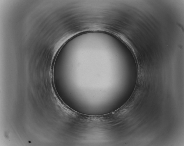 X0000103400951200809191518