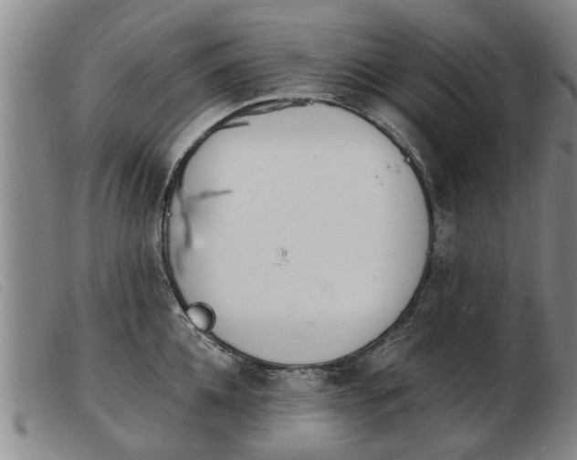 X0000103400952200809191518