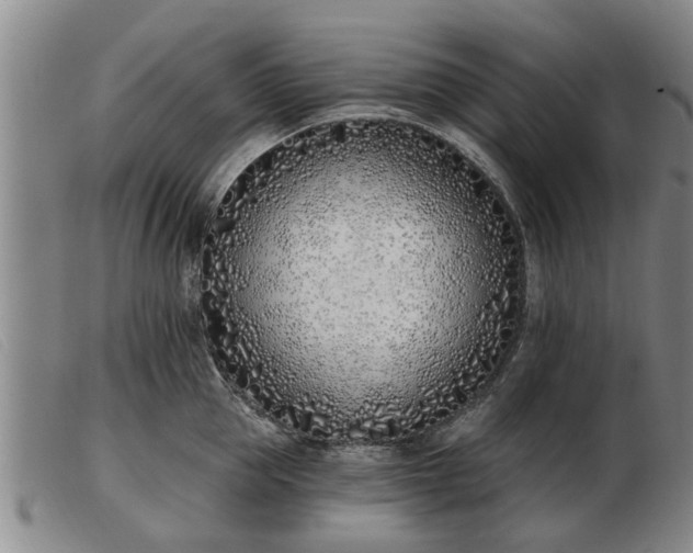 X0000103400953200809191518