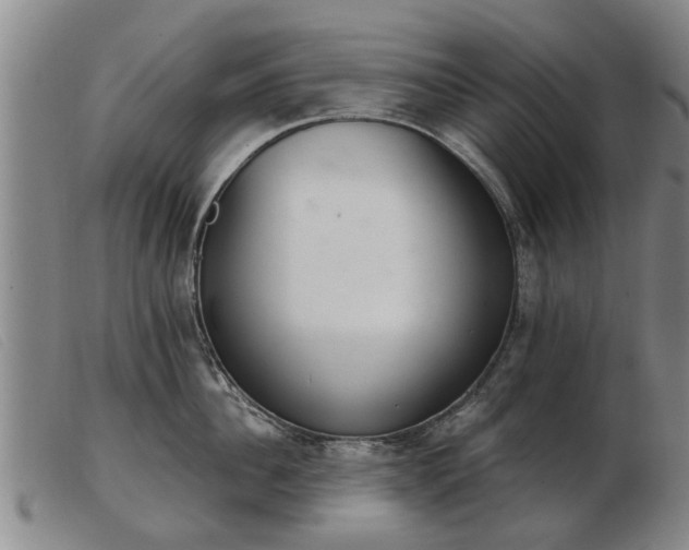 X0000103400956200809191518