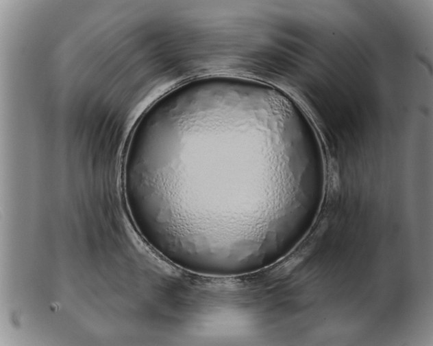 X0000103400957200809191518