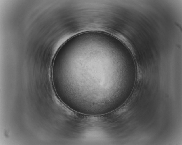 X0000103400958200809191518