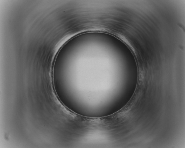 X0000103400959200809191518