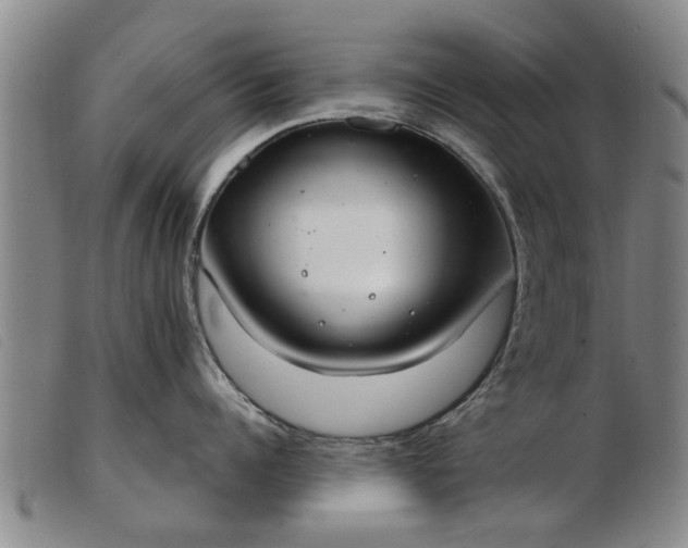 X0000103400960200809191518