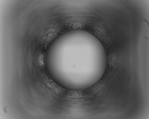 X0000103400962200809191517