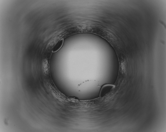 X0000103400963200809191517