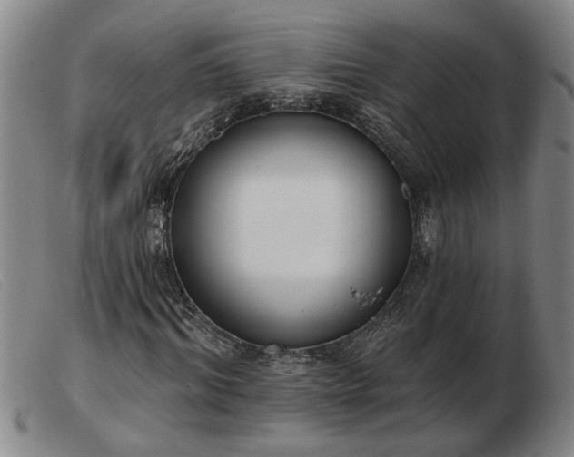 X0000103400964200809191517