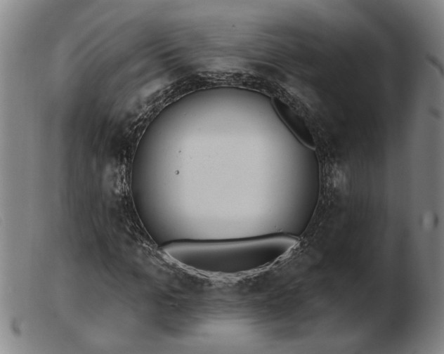 X0000103400965200809191517