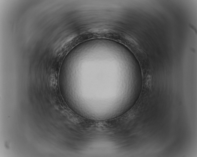 X0000103400966200809191517