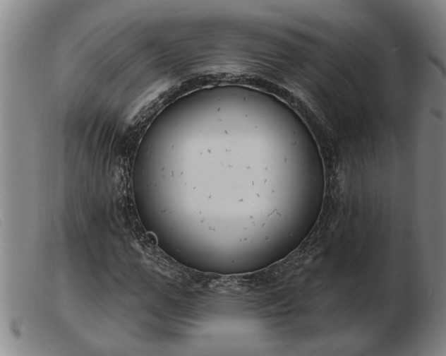 X0000103400967200809191517