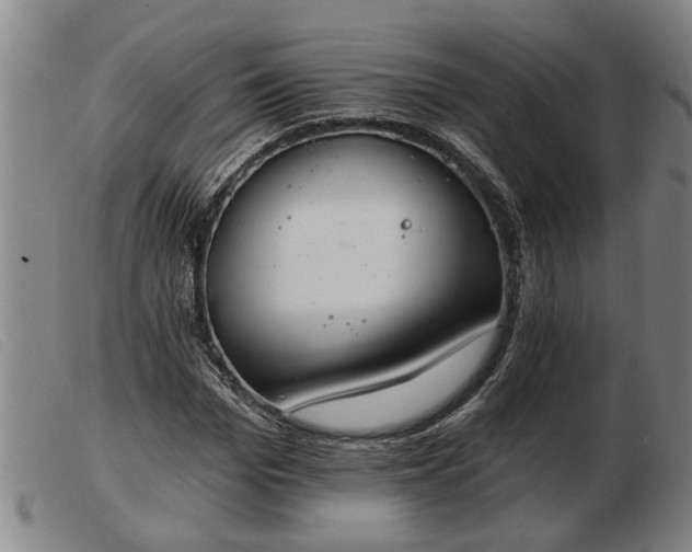 X0000103400969200809191517